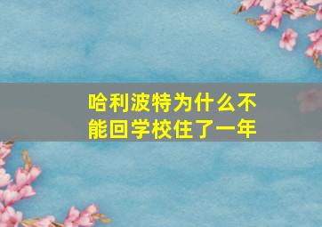 哈利波特为什么不能回学校住了一年