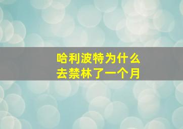 哈利波特为什么去禁林了一个月