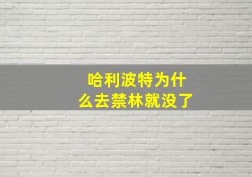 哈利波特为什么去禁林就没了