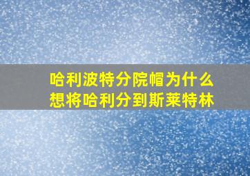 哈利波特分院帽为什么想将哈利分到斯莱特林