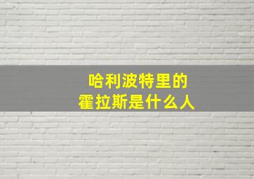 哈利波特里的霍拉斯是什么人