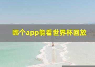 哪个app能看世界杯回放