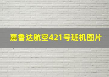 嘉鲁达航空421号班机图片