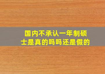 国内不承认一年制硕士是真的吗吗还是假的