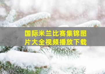 国际米兰比赛集锦图片大全视频播放下载