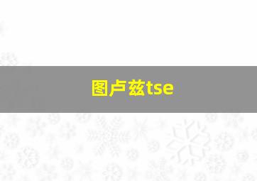 图卢兹tse