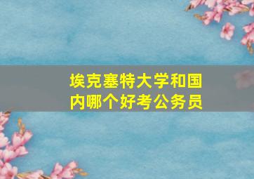 埃克塞特大学和国内哪个好考公务员