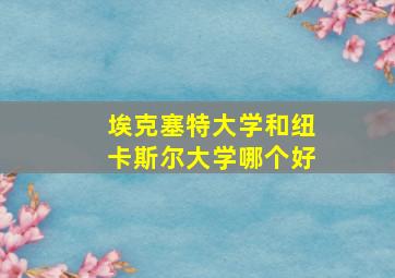 埃克塞特大学和纽卡斯尔大学哪个好