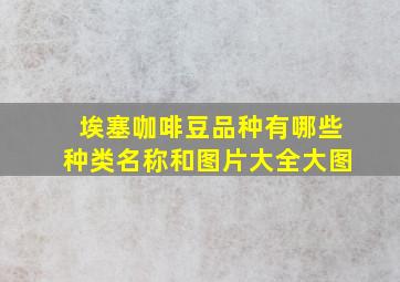 埃塞咖啡豆品种有哪些种类名称和图片大全大图