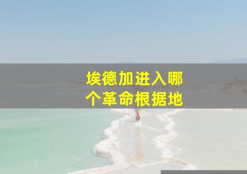 埃德加进入哪个革命根据地