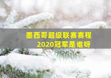 墨西哥超级联赛赛程2020冠军是谁呀