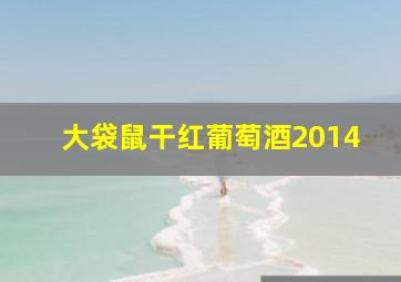 大袋鼠干红葡萄酒2014