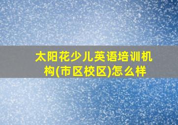 太阳花少儿英语培训机构(市区校区)怎么样