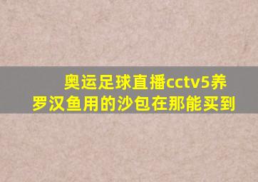 奥运足球直播cctv5养罗汉鱼用的沙包在那能买到