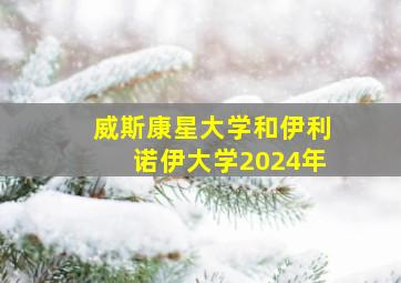 威斯康星大学和伊利诺伊大学2024年