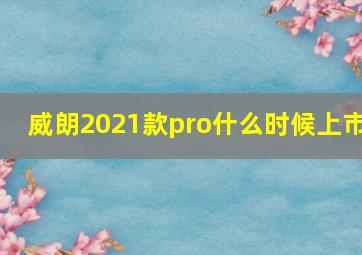 威朗2021款pro什么时候上市