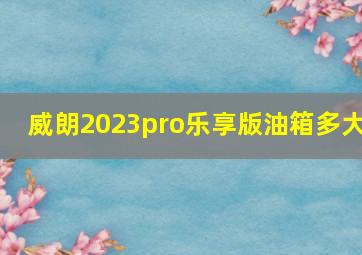 威朗2023pro乐享版油箱多大