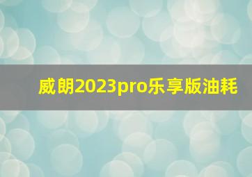 威朗2023pro乐享版油耗