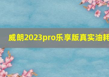 威朗2023pro乐享版真实油耗