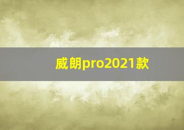 威朗pro2021款