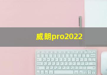 威朗pro2022