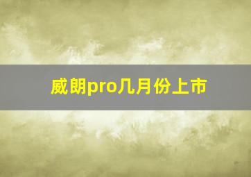 威朗pro几月份上市