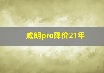 威朗pro降价21年