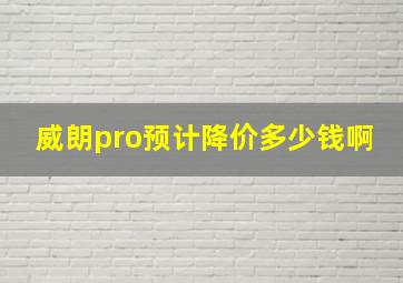 威朗pro预计降价多少钱啊