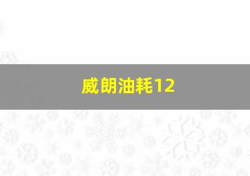 威朗油耗12