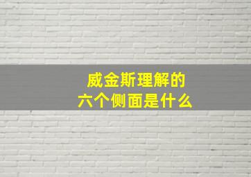 威金斯理解的六个侧面是什么