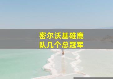 密尔沃基雄鹿队几个总冠军