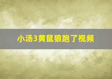 小汤3黄鼠狼跑了视频