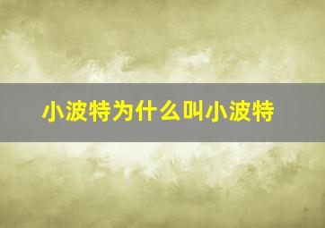 小波特为什么叫小波特