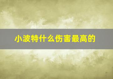 小波特什么伤害最高的