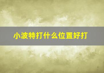 小波特打什么位置好打