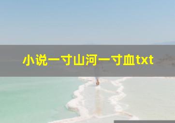 小说一寸山河一寸血txt