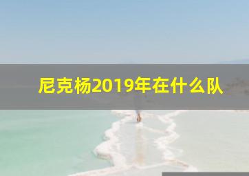 尼克杨2019年在什么队