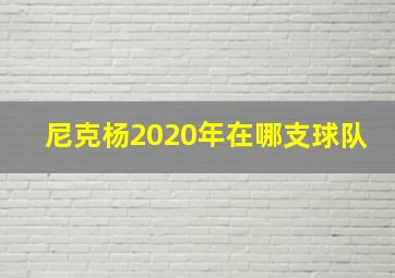 尼克杨2020年在哪支球队