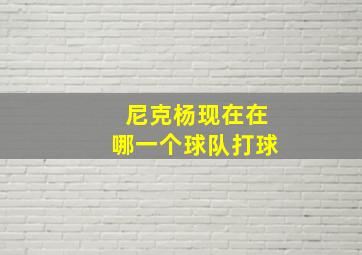 尼克杨现在在哪一个球队打球