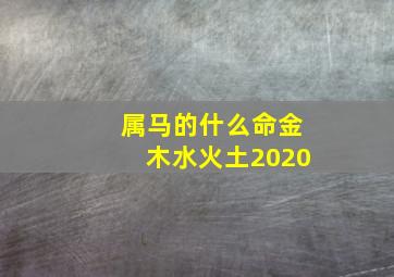 属马的什么命金木水火土2020