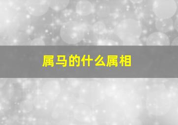 属马的什么属相