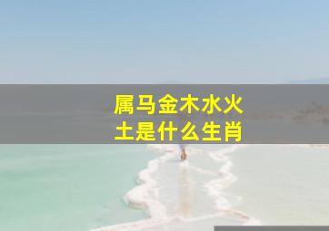 属马金木水火土是什么生肖