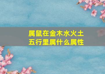 属鼠在金木水火土五行里属什么属性