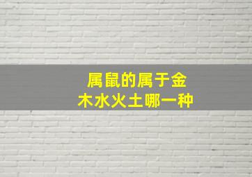 属鼠的属于金木水火土哪一种