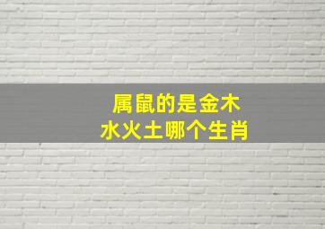 属鼠的是金木水火土哪个生肖