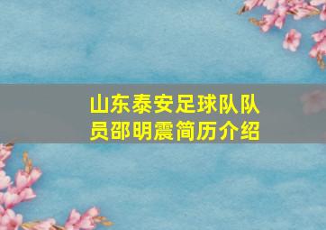 山东泰安足球队队员邵明震简历介绍