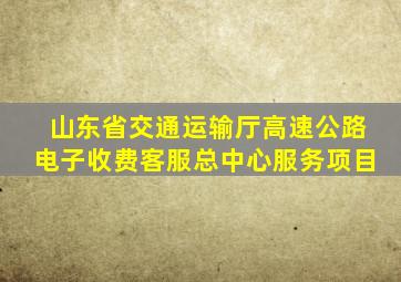 山东省交通运输厅高速公路电子收费客服总中心服务项目