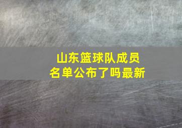 山东篮球队成员名单公布了吗最新