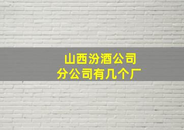 山西汾酒公司分公司有几个厂