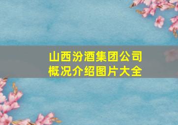 山西汾酒集团公司概况介绍图片大全